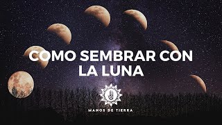 Como Sembrar Con LA LUNA 2024 cultivar con fases lunares calendario lunar [upl. by Dnomrej254]