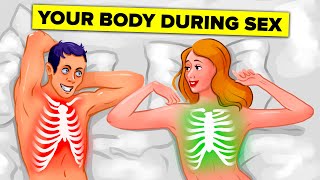 What Happens to Your Body While You Are Having Sex amp And Other Interesting Facts [upl. by Ahtelra524]