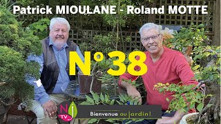 BIENVENUE AU JARDIN N° 38  LA GRANDE ÉMISSION HEBDO DE NEWSJARDINTV PRÉSENTÉE PAR PATRICK ET ROLAND [upl. by Ardnasac46]