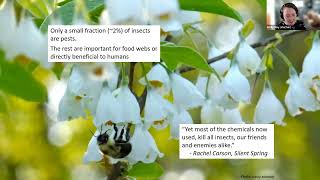 Effects of Pesticides on Pollinators and Wildlife [upl. by Rozalin]