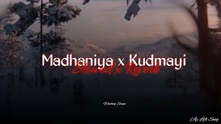 MADHANIYA x KUDMAYI x Zaalima x Aaj Sajeya x Mast Magan Slowed x Reverb  Instagram Viral Songs [upl. by Immak]