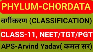 Classification of phylum chordata chordata  chordata by arvind sir Urochordata [upl. by Nich]