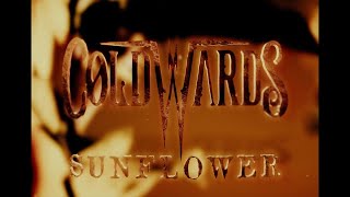 Coldwards  Sunflower Official Video [upl. by Farro]