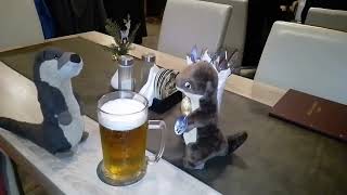 Die Otter Marlenka und Finley beim Pilsener Bier in Warnsdorf im Schützenhaus [upl. by Azpurua]