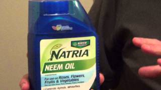 Neem Oil for Plants  Safe Insecticide for Gardens [upl. by Ahsiekan]