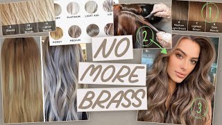 5 Solutions  Best Products to Get Rid of Brass in YOUR Hair [upl. by Akitahs147]