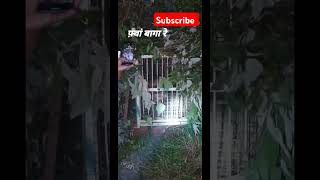 Fwa Baga re short shortvideo uttarakhand pahadi shorts mei hu uttrakhandi [upl. by Boony]