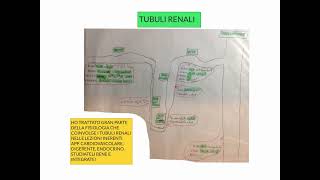 CORSO DI FISIOLOGIA UMANA  LEZIONE 46 DI 81  FISIOLOGIA RENALE  PARTE 3 [upl. by Nicolau292]