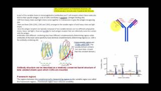 CDR OR HV REGION AND FRAMEWORK REGION [upl. by Dygall]