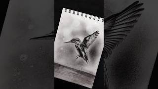 Bird 🐦 charcoal drawing  sketchbook drawing shorts charcoalart [upl. by Peace]