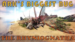 ARK Survival Evolveds Biggest Bug The Rhyniognatha [upl. by Arorua]