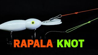 Tie a Rapala Knot Like a Pro StepbyStep Guide [upl. by Gilli692]