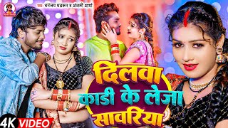 video दिलवा कड़ी के लेजा सावरिया  धनंजय धड़कन  Dilwa Kadi Ke LeJa Sawariya  2024 Ka Blast Song [upl. by Attah]