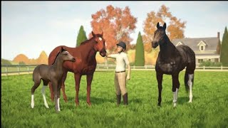 Rival stars horse racinggamessubscribe [upl. by Erreipnaej767]