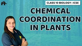 Chemical Coordination in Plants  Chapter 7 Class 10 ICSE Biology  Selina [upl. by Ettenwad]