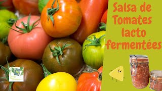 Salsa de tomates lactofermentées [upl. by Melcher]