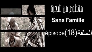 MA9TOU3 MEN CHAJARA SANS FAMILLE Épisode مقطوع من شجرة الحلقة 18 [upl. by Joab]