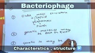 Bacteriophage in hindi ll biology ll [upl. by Ajidahk769]