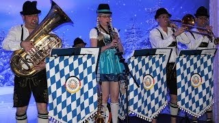 Bavarian quotoompahquot Band [upl. by Gilead]