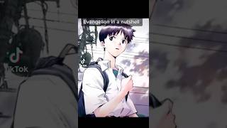 Evangelion in a nutshell evangelion anime jobbythehong [upl. by Gladys]