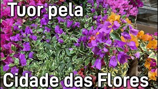 FolhagensFlores na Cidade das Plantas [upl. by Ikram]