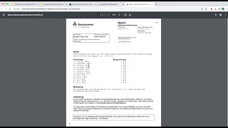 Hur funkar preliminärskatt för aktiebolag [upl. by Minnaminnie]