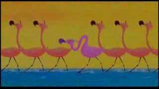 Les flamands rose [upl. by Malik]