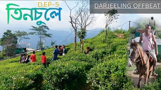 Tinchuley homestayTinchuley DarjeelingDarjeeling offbeattinchuley gurung homestay [upl. by Lika989]