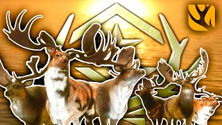 SHOOTING SIX GREAT ONE FALLOW IN THE HUNTER CALL OF THE WILD PLUS STEAMPC GAME amp DLC GIVEAWAY [upl. by Sidalg253]