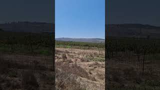 Biblical Elah Valley  Battle place of David amp Goliath  With Celebrity Star Tal Oran [upl. by Bayard]