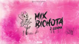 MIX KAROL G  BICHOTA MIX BY DJ JLIZAMA Lizamatemotiva LO MEJOR DE KAROL G [upl. by Madelina]