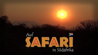 Auf Safari in Südafrika 13 Reportage  Doku  Dokumentation Deutsch [upl. by Niriam]