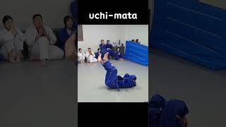 소녀들의 마음을 사로잡는 그 기술👧uchimata 청춘유도관장기점 shorts judo 柔道 [upl. by Huber]