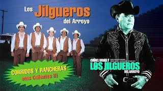 Los Jilgueros Del Arroyo Corridos y Rancheras Mas Calientes  Lo Mejor De Los Jilgueros Del Arroyo [upl. by Uriia]