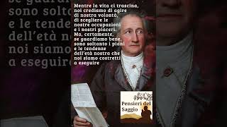 Johann Wolfgang Von Goethe Mentre la vita ci trascina [upl. by Suoicserp]