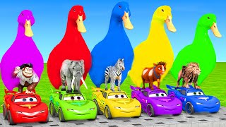 5 Giant Duck Cartoon Cow Giraffe Elephant Lion Paint Wild Animals Crossing Fountain Animation 4 [upl. by Narot456]