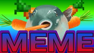 Pufferfish Eating A Carrot Meme Compilation [upl. by Imorej]