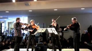 Oblivion Berlin Philharmonic Viola Quartet [upl. by Enomes547]