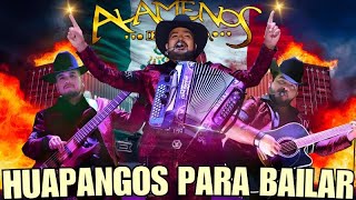 Los Alameños De La Sierra  Mix 2024 Lo Más Chingon💥Puras Huapangos Para Bailar💥 Excelencia Bailable [upl. by Attalanta]