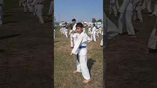 Kyokushin karate 🥋 karate raomartialarts kyokushintraining KyokushinSpirit viral karatecombat [upl. by Isyak]