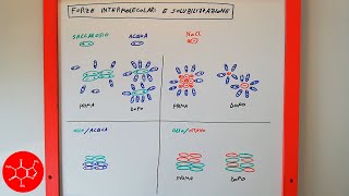 Solubilità di sostanze polari e apolari interpretata con le forze intermolecolari  lezione chimica [upl. by Narcissus]