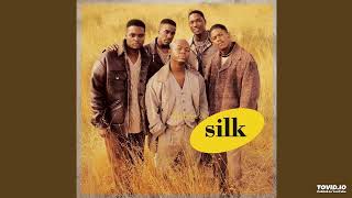 Silk Meeting In My Bedroom Radio Edit Audio 05 Version [upl. by Comethuauc]