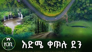 እድሜ ቀጥሉ ደን  ዘጋቢ [upl. by Kevon]