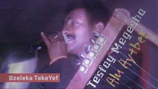 quotAlu Aytbeliquot Tesfay Mengesha Part 3 Eritrea Love music 2018 [upl. by Cosette]