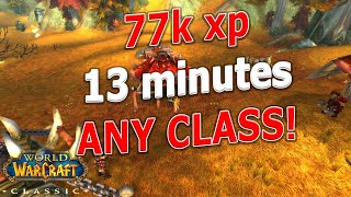 WoW Classic  SPEED LEVELING with Quests The JOURNEY  77k xp in 13 minutes 51 [upl. by Tunk520]