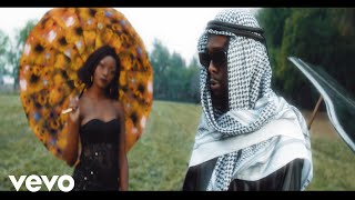 Takura  Mwana Wamambo Official Music Video [upl. by Daberath]