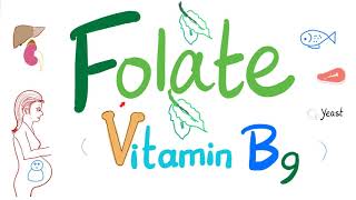 Vitamin B9 Folate 🥬  Folic  Structure Function Folate Deficiency Anemia Diagnosis amp Treatment [upl. by Norret793]