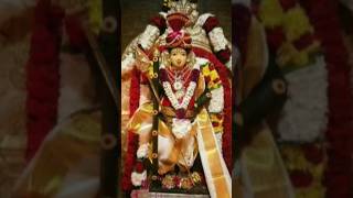 Om yenum pranava manthira murugane  murugan songs tamil  murugan whatsappstatus viral shorts [upl. by Lezley]