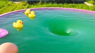 Ducklings VS whirlpool Whirlpool experiments Whirlpool Video [upl. by Ahsir]