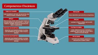 Microscópio  Partes do Microscópio Óptico [upl. by Roger]